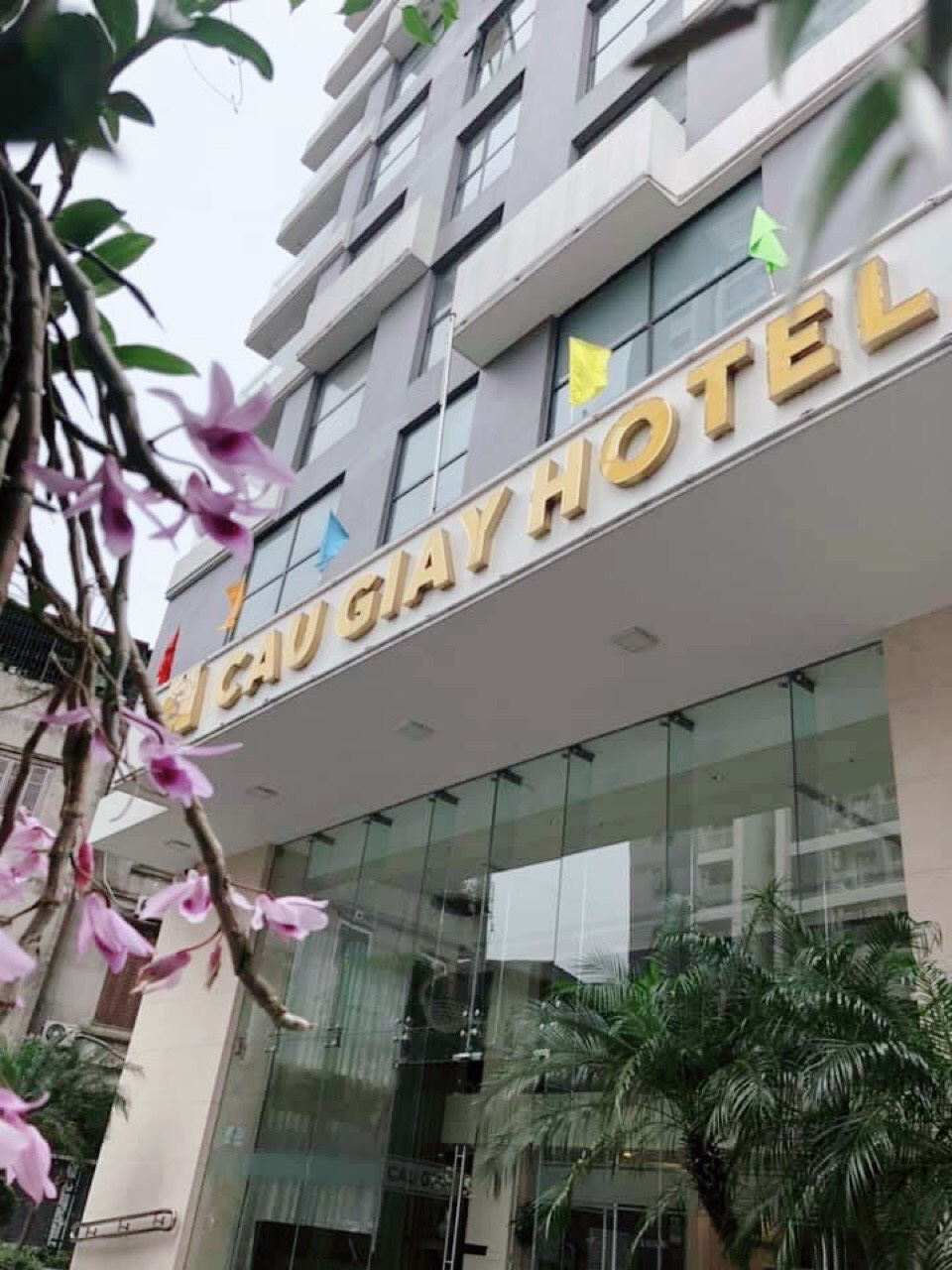 Khách Sạn Cầu Giấy – Nơi Dừng Chân Lý Tưởng Cho Mọi Du Khách