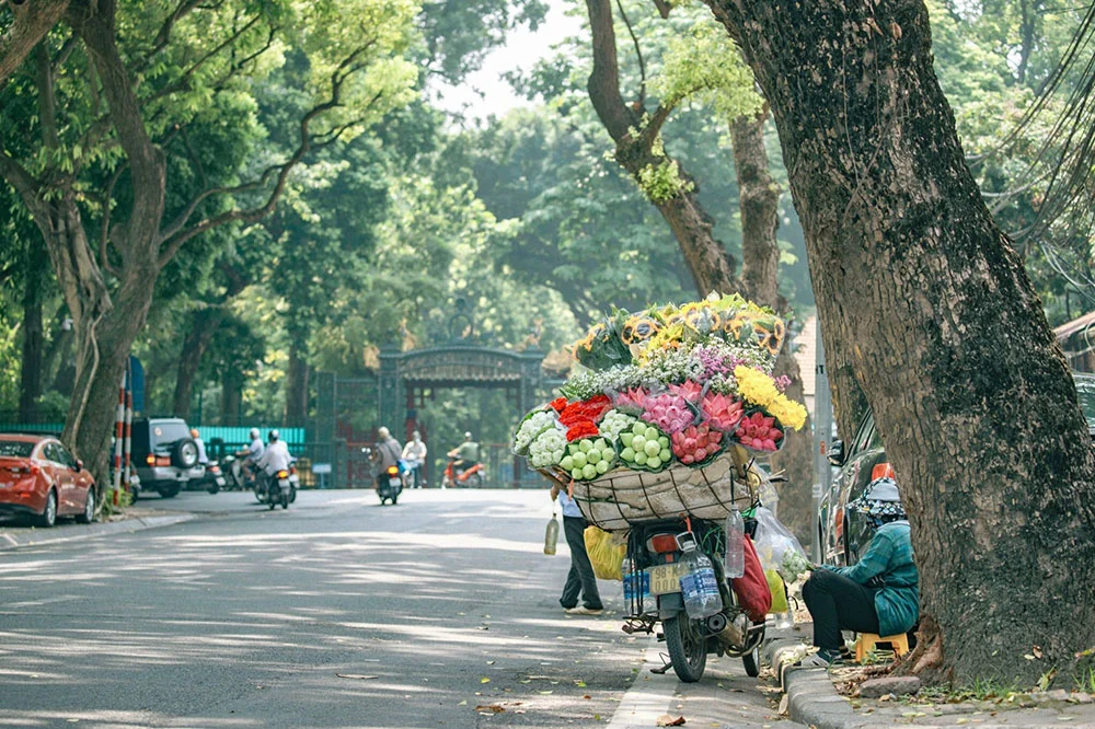 HÀ NỘI THÁNG 9 – CẢM NHẬN SẮC THU TỪ MỘT GÓC CẦU GIẤY