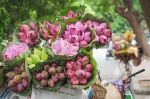 GỢI Ý THỜI ĐIỂM LÝ TƯỞNG ĐỂ KHÁM PHÁ THỦ ĐÔ