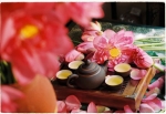 GỢI Ý THỜI ĐIỂM LÝ TƯỞNG ĐỂ KHÁM PHÁ THỦ ĐÔ